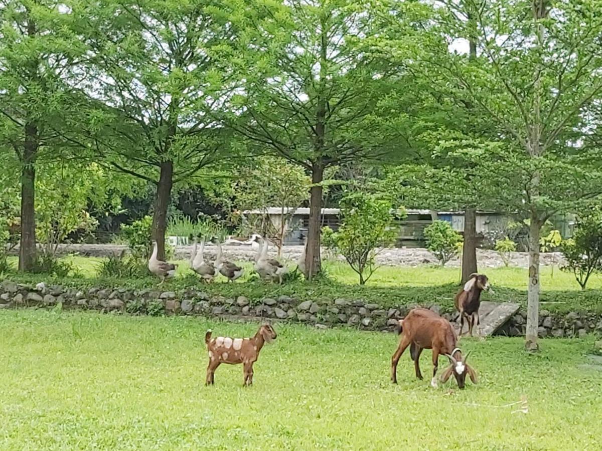 Meihua Lake Leisure Farm Dongshan  Luaran gambar